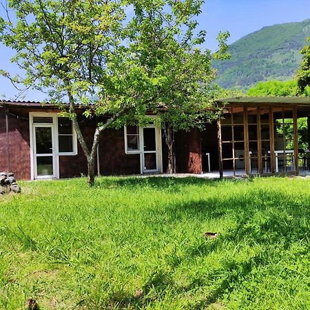 V Gostiakh U Maii Hotel Gagra Bagian luar foto